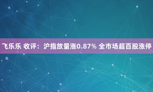 飞乐乐 收评：沪指放量涨0.87% 全市场超百股涨停