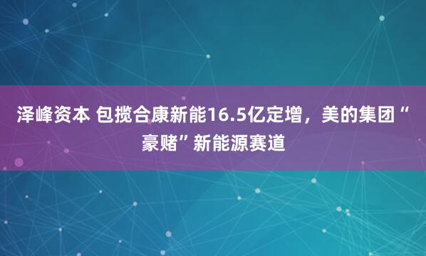 泽峰资本 包揽合康新能16.5亿定增，美的集团“豪赌”新能源赛道