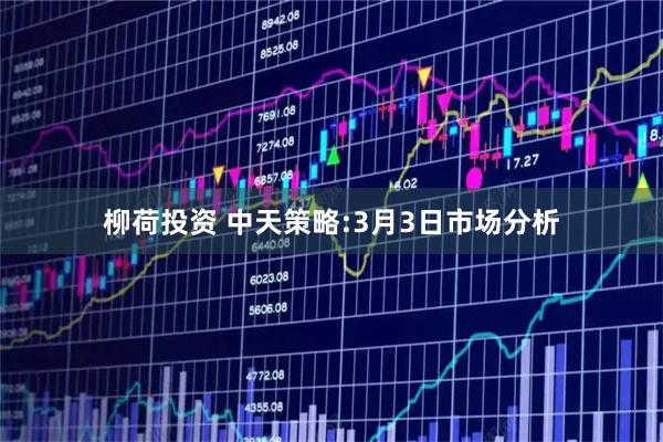 柳荷投资 中天策略:3月3日市场分析