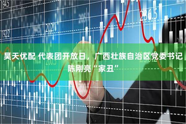 昊天优配 代表团开放日，广西壮族自治区党委书记陈刚亮“家丑”