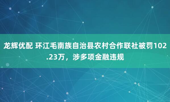 龙辉优配 环江毛南族自治县农村合作联社被罚102.23万，涉多项金融违规