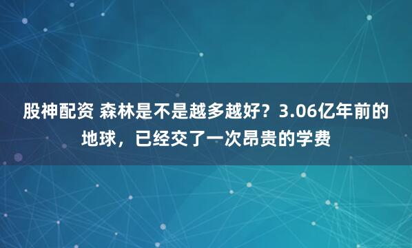 股神配资 森林是不是越多越好？3.06亿年前的地球，已经交了一次昂贵的学费