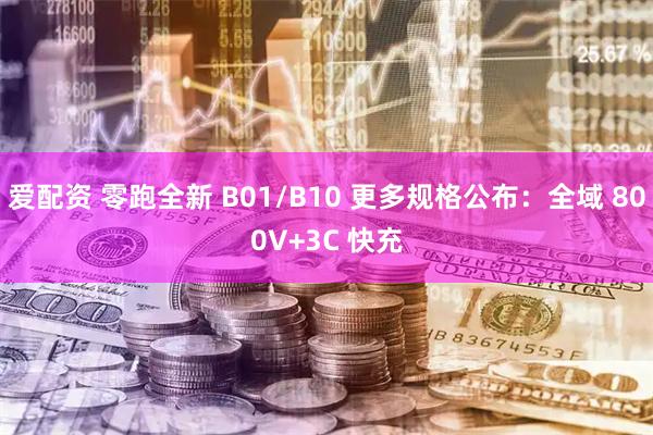 爱配资 零跑全新 B01/B10 更多规格公布：全域 800V+3C 快充