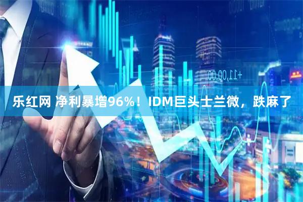 乐红网 净利暴增96%！IDM巨头士兰微，跌麻了