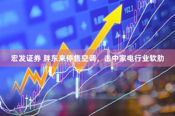 宏发证券 胖东来停售空调,击中家电行业软肋