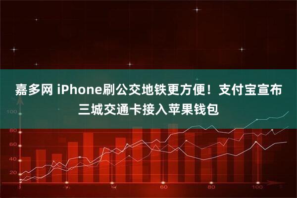 嘉多网 iPhone刷公交地铁更方便！支付宝宣布三城交通卡接入苹果钱包
