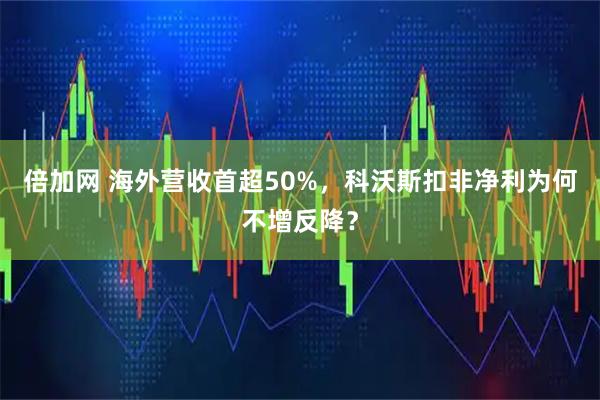 倍加网 海外营收首超50%，科沃斯扣非净利为何不增反降？