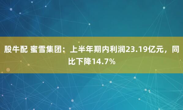 股牛配 蜜雪集团：上半年期内利润23.19亿元，同比下降14.7%